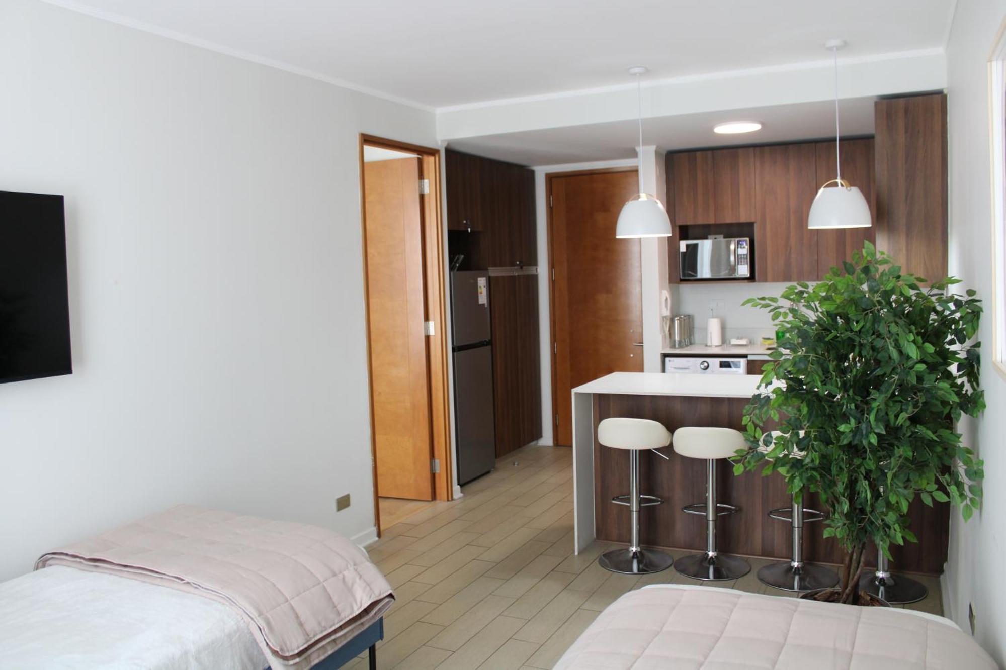 Comodo Departamento En Condes Apartamento